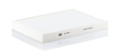 Filtras, salono oras