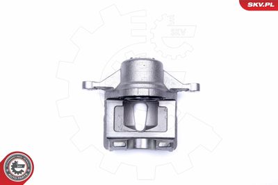 Brake Caliper 42SKV481