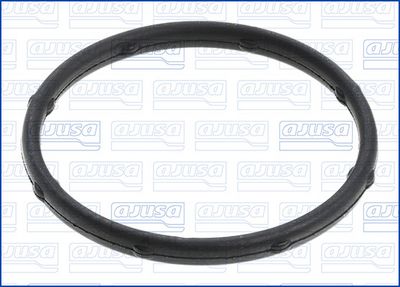 GARNITURA CARCASA TERMOSTAT