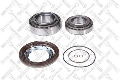 STELLOX 83-00442-SX STELLOX 83-00442-SX