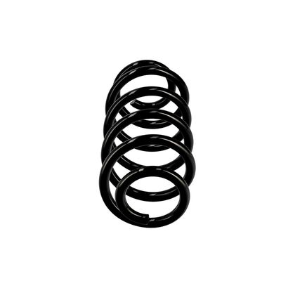 ARC SPIRAL EIBACH R10135 13