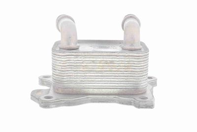 RADIATOR ULEI ULEI MOTOR ACKOJA A38600004 6