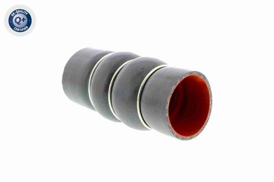 LADELUFTSCHLAUCH VAICO V250949 8