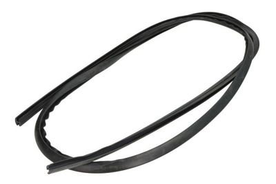 Weerstrip Voor past: IVECO DAILY III, DAILY IV, DAILY V 05.99-02.14