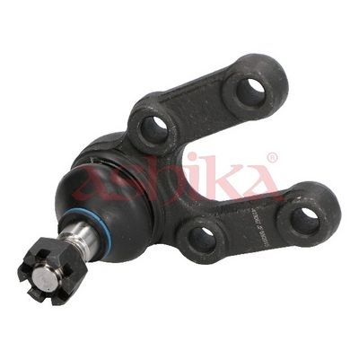 Šarnyras / girgždukas