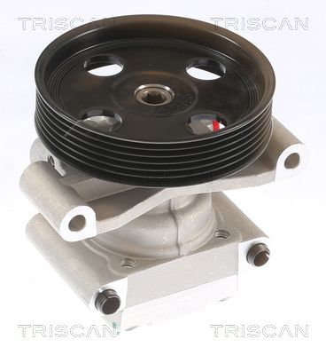 Гидравлический насос, рулевое управление TRISCAN 8515 16679 для FORD FUSION