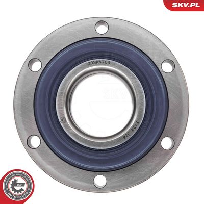 SET RULMENT ROATA ESEN SKV 29SKV703 1