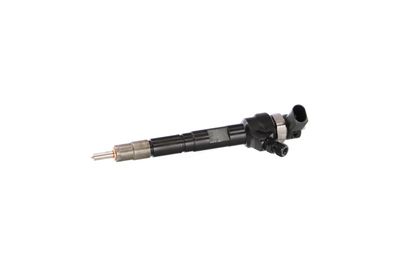 INJECTOR REMANTE 002003000034R 6