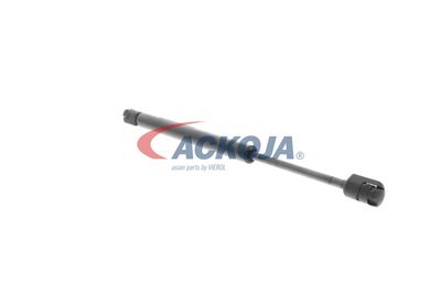 AMORTIZOR PORTBAGAJ ACKOJA A380071 43