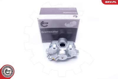 Brake Caliper 34SKV913