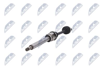 PLANETARA NTY NPWBM173 36