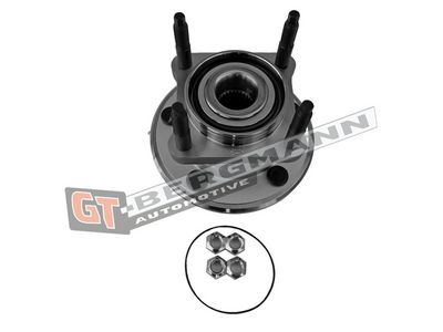GT-BERGMANN Automotive Rato guolio komplektas