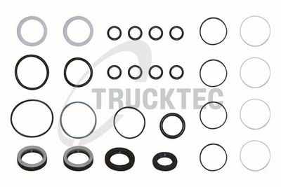 SET GARNITURI CARACSA DIRECTIE