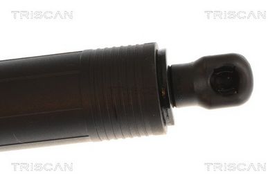 Amortizor portbagaj TRISCAN 8710 11379