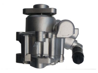 HYDRAULIKPUMPE LENKUNG SPIDAN 54013 3