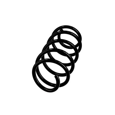 ARC SPIRAL EIBACH R10371 2