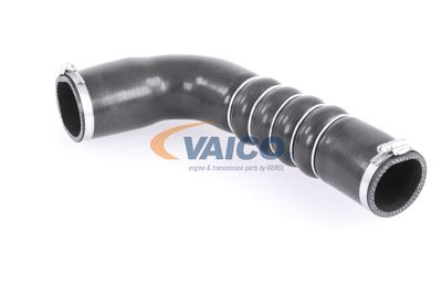 FURTUN EAR SUPRAALIMENTARE VAICO V103794 18