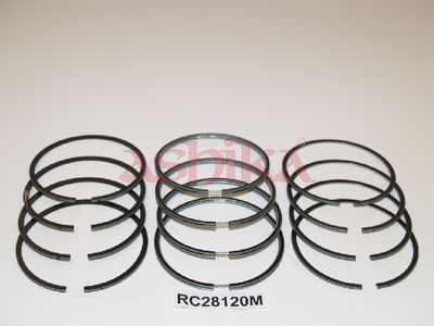 SEGMENT PISTON