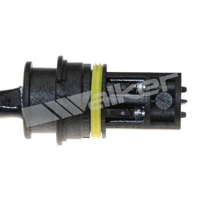 LAMBDASONDE WALKER PRODUCTS 25024551 2