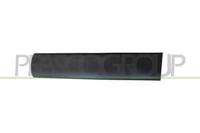 ZIER-/SCHUTZLEISTE TüR