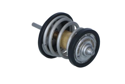 TERMOSTAT LICHID RACIRE NRF 725250 19