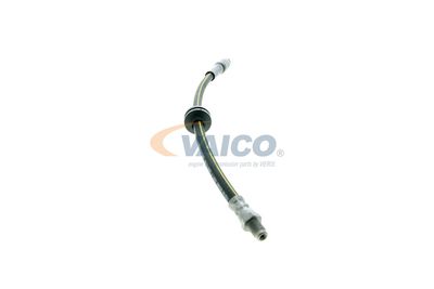 FURTUN FRANA VAICO V220627 37