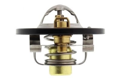 TERMOSTAT LICHID RACIRE