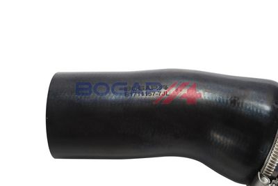 FURTUN EAR SUPRAALIMENTARE BOGAP B1711157 5