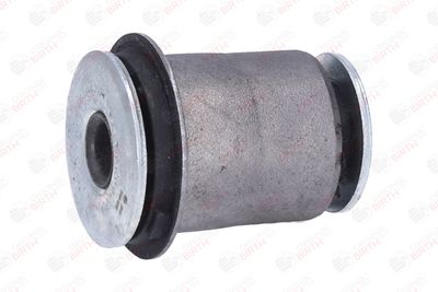 SUPORT TRAPEZ BIRTH 2913 2