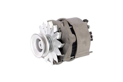 GENERATOR / ALTERNATOR REMANTE 011003000127R 10