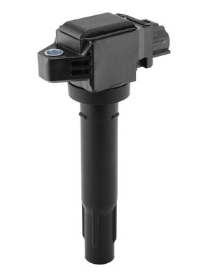 BOBINA DE INDUCTIE BorgWarner (BERU) ZSE321 1