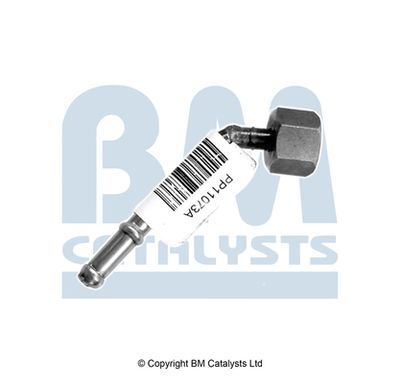 тръбичка, сензор за налягане (филтър за твърди частици) BM Catalysts PP11073A