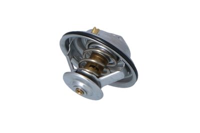 TERMOSTAT LICHID RACIRE NRF 725105 31