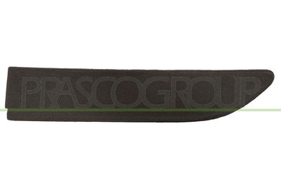 CAPAC CARLIG REMORCARE