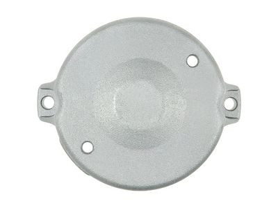 AS-PL Starterdeckel, Vergaser