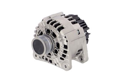 GENERATOR / ALTERNATOR REMANTE 011003000135R 65