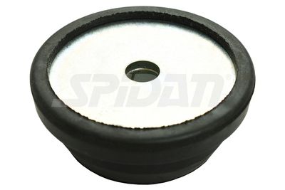 FEDERBEINSTüTZLAGER