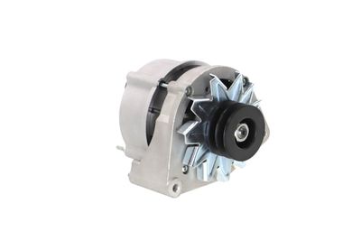 GENERATOR / ALTERNATOR REMANTE 011003000025R 54