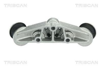 TRISCAN Variklio montavimas