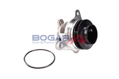 Wasserpumpe, Motorkühlung