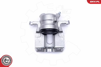 Brake Caliper 50SKV492