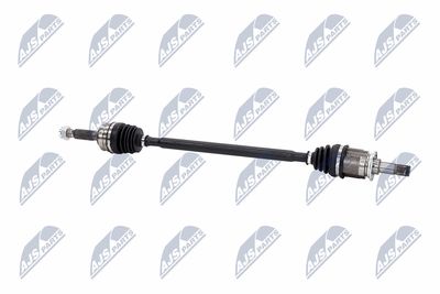 PLANETARA NTY NPWCH094 27