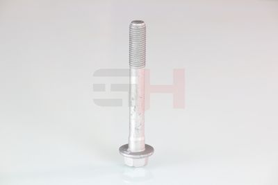 SURUB CAPAT DE AX GH GH391580 31