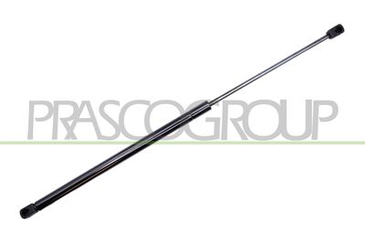 GASFEDER KOFFER-/LADERAUM PRASCO CI0229055