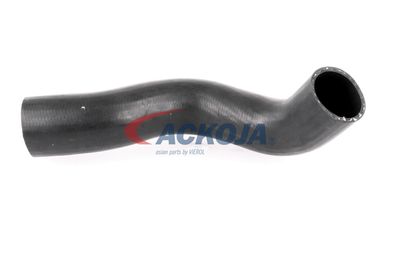 FURTUN EAR SUPRAALIMENTARE ACKOJA A380307 12