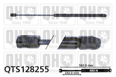 QUINTON HAZELL QTS128255 Амортизатор багажника и капота  для SAAB  (Сааб 900)