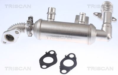 RADIATOR RECIRCULARE GAZE DE ESAPAMENT