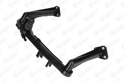 FLANSA LICHID RACIRE BIRTH 81126 3