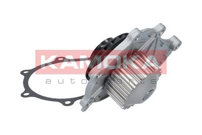 Water Pump, engine cooling T0087