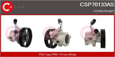 CASCO Hydraulikpumpe, Lenkung Brand New HQ (CSP70133AS)